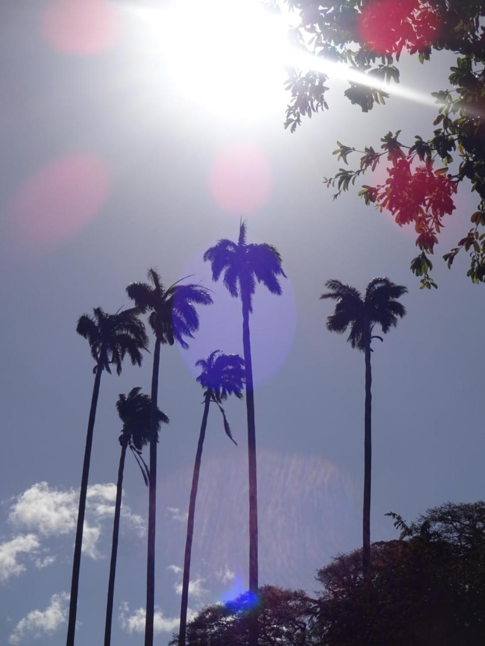 Casa Papaki Apartment Merida ภายนอก รูปภาพ