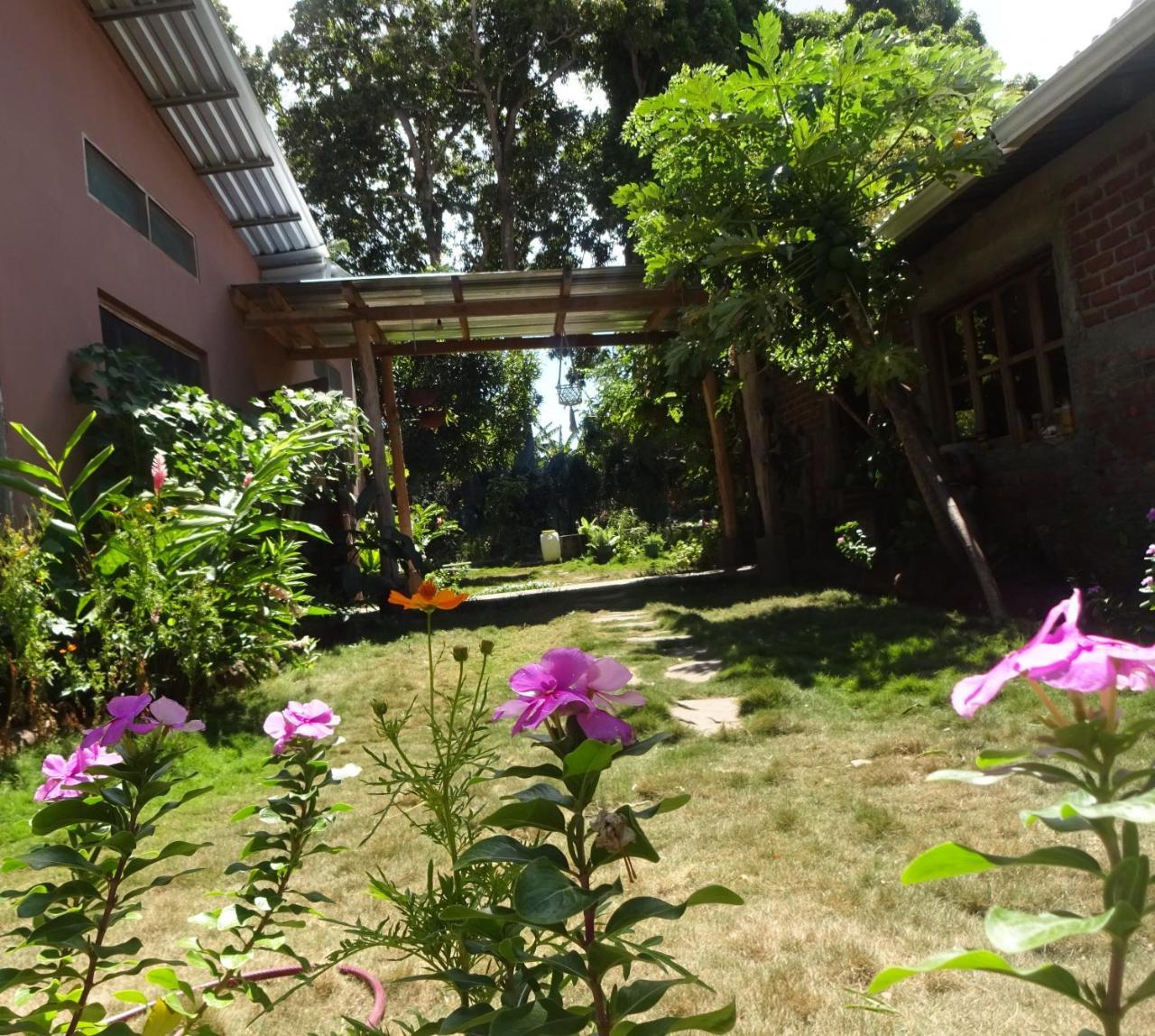 Casa Papaki Apartment Merida ภายนอก รูปภาพ