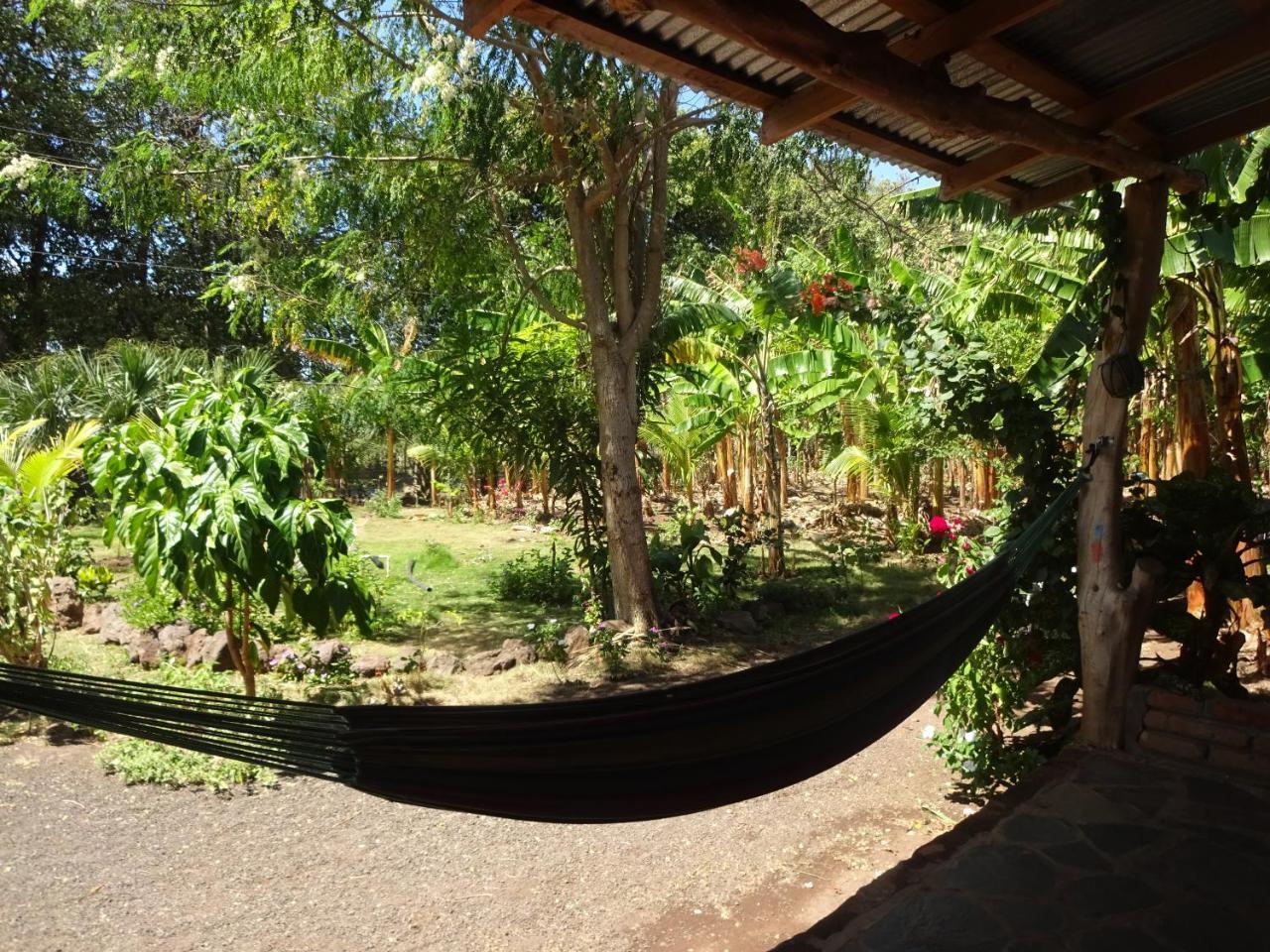 Casa Papaki Apartment Merida ภายนอก รูปภาพ